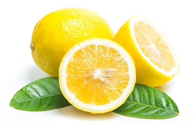 Adalia lemons