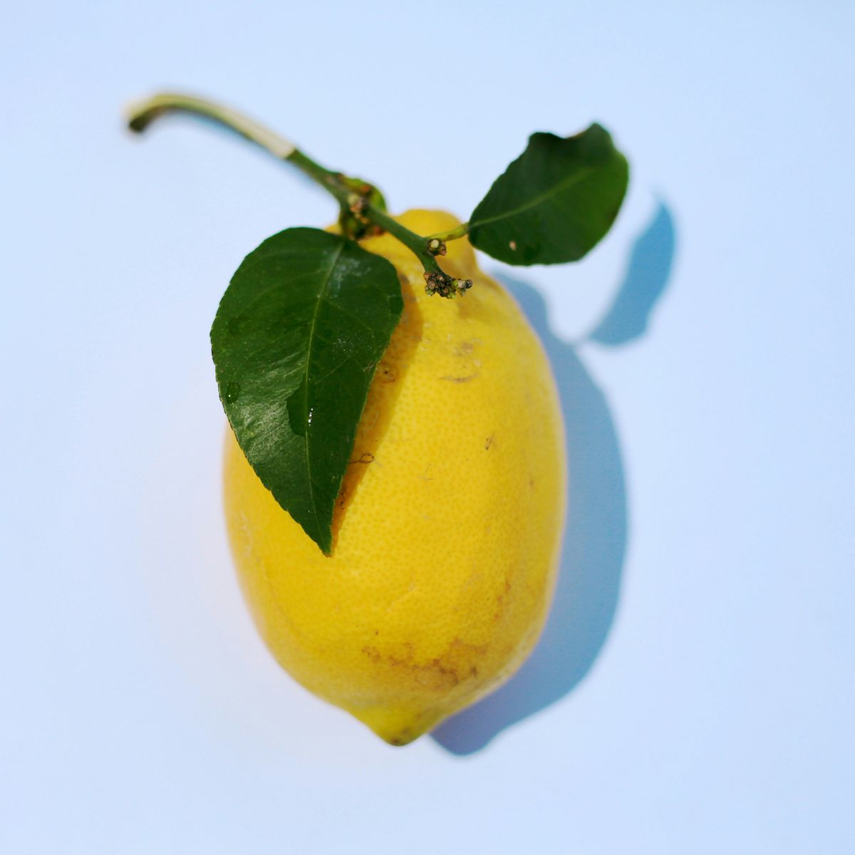 Lemon 2