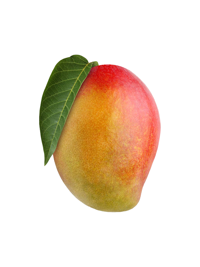 Mango 1