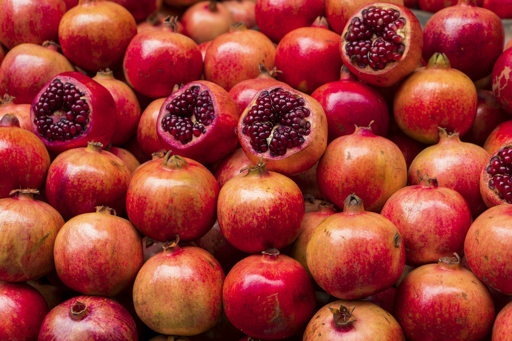 Pomegranate 1